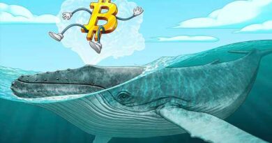 Small Bitcoin whales may be keeping BTC price from 'capitulation' — analysis