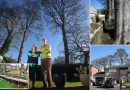 Couple who want protected 90ft Sycamores chopped down slam council