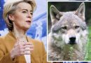 EU chief Ursula von der Leyen blasted for ‘outrageous’ backward step