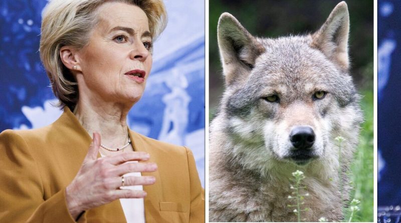 EU chief Ursula von der Leyen blasted for ‘outrageous’ backward step