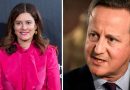 Nick Clegg’s wife mocks David Cameron in call for Brexit to be reversed